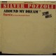 SILVER POZZOLI - Around my dream (remix)